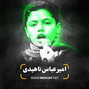 امیر عباس ناهیدی